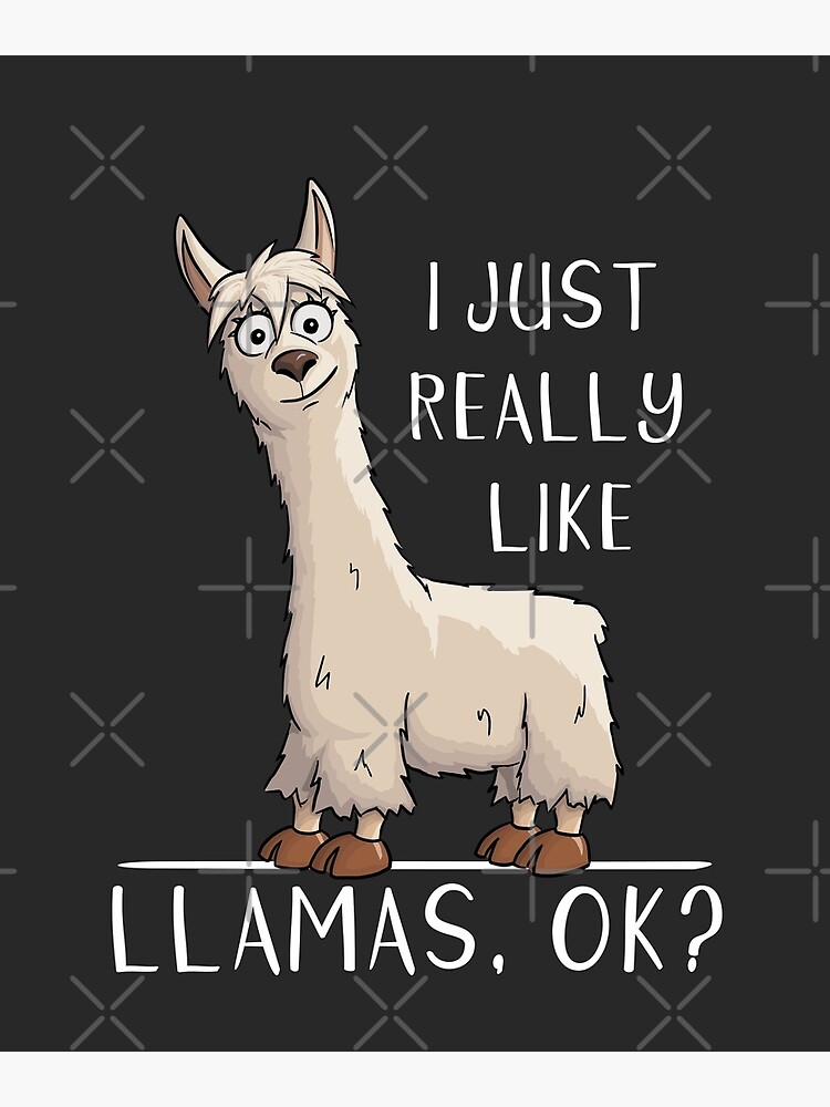 Just a Girl who Loves Llamas: lined Llama notebook / alpaca notebook with  llamas inside! Llama gift for women, alpaca gift for women, you are
