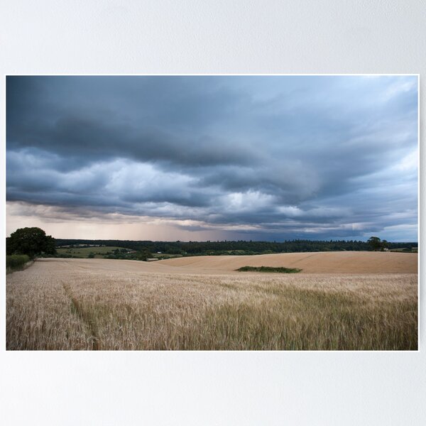 Item preview, Storm Clouds over Wheat Fields designed and sold by hinomaru.