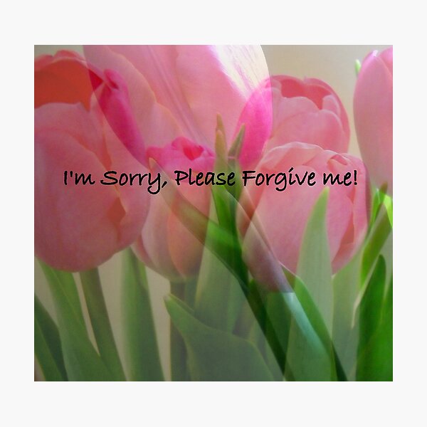 I'm Sorry, Please Forgive Me Photographic Print