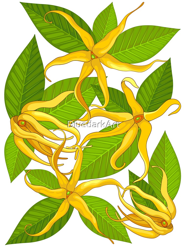 Ylang Ylang Exotic Scented Flowers and Leaves Pattern