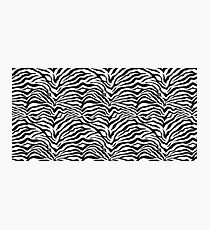 Zebra Fotodruck