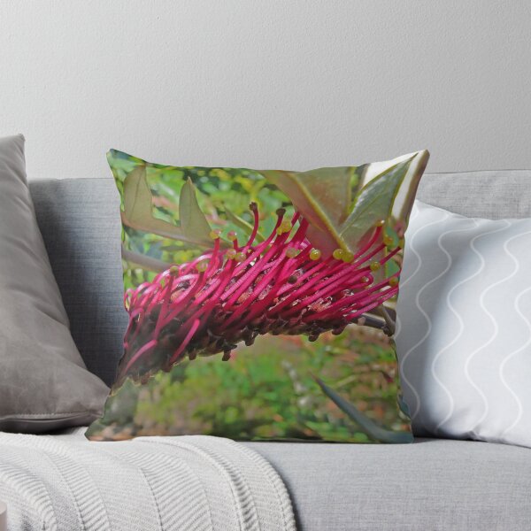 Item preview, Grevillea, Fanfare designed and sold by Margaret  Hyde.