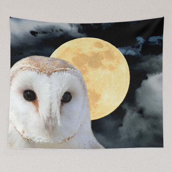 Item preview, Barn Owl Bird Modern Country Art Modern Cottage Chic Art A493 designed and sold by byNicol.