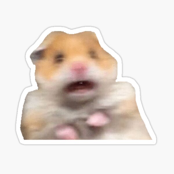 Screaming Hamster Stickers | Redbubble