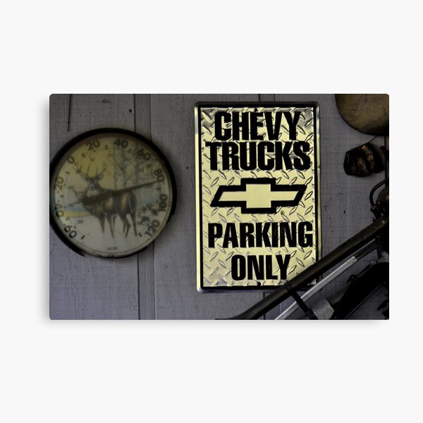 Couldn't have said it better myself! Canvas Print