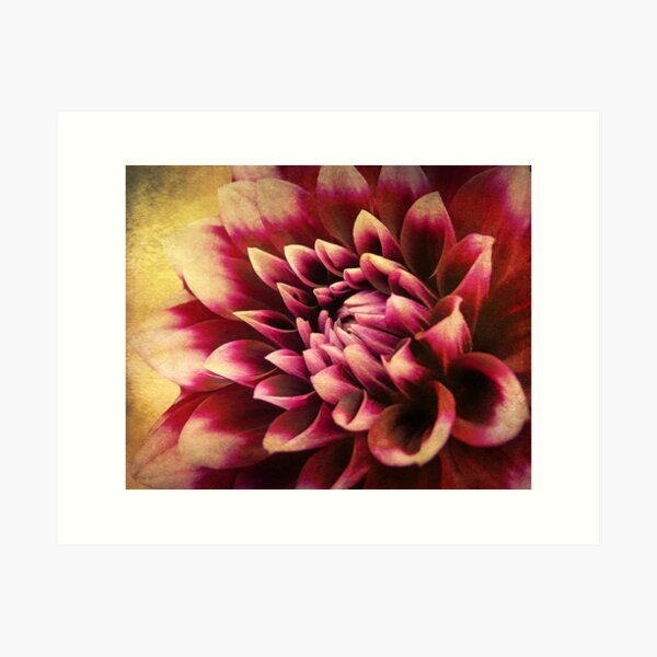 Item preview, Queen Dahlia designed and sold by Kathilee.