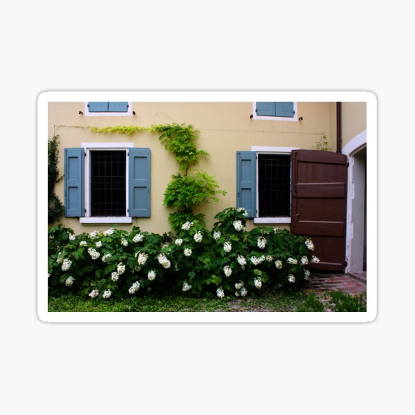 Item preview, Farmhouse Wall with Windows. Campogalliano, Italy 2011 designed and sold by Igor Pozdnyakov.