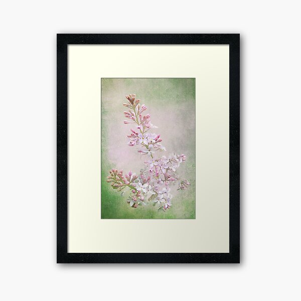 Item preview, Vintage Lilac designed and sold by Kathilee.
