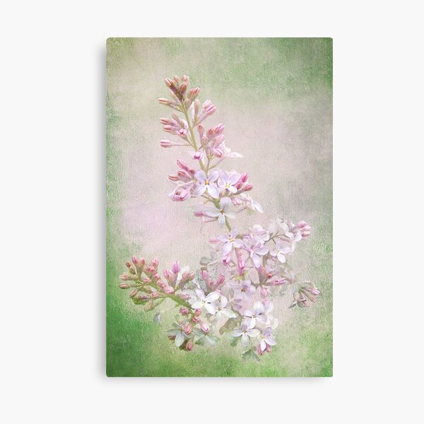 Lienzos: Flores Lilas Vintage | Redbubble