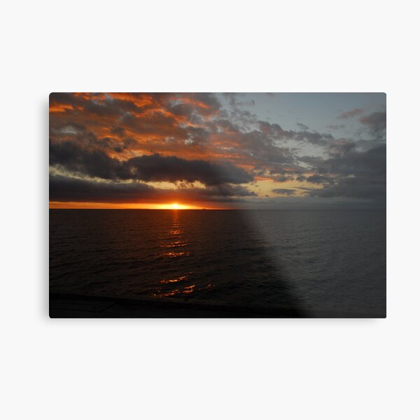 Sheperds Delight Metal Print