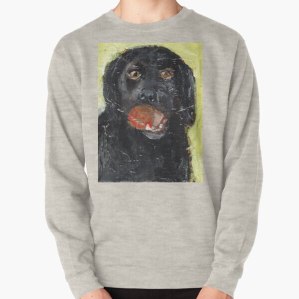 Dog with Red Ball Pullover Sweatshirt