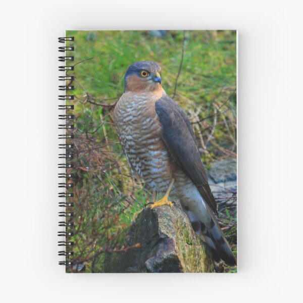 Item preview, Sparrowhawk #14 designed and sold by Alexanderargyll.