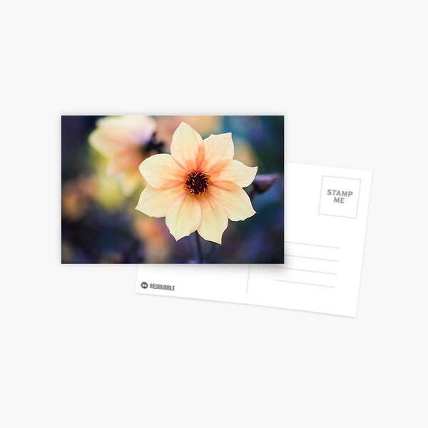 Yellow Summer Flower Postcard