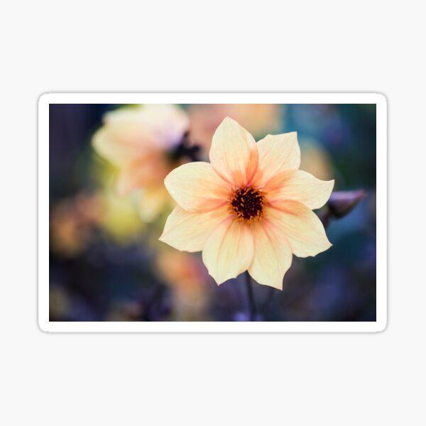 Yellow Summer Flower Sticker