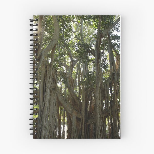 Item preview, Banyan beauty designed and sold by miradorpictures.