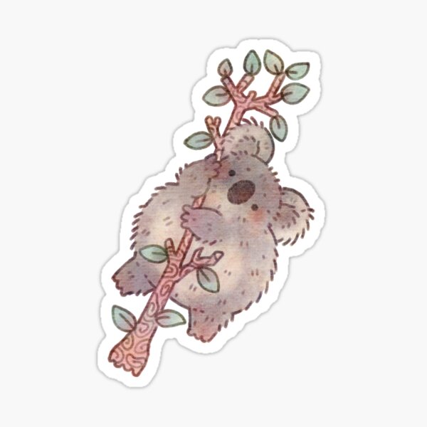 Chubby Koala en un árbol - Australian Wildlife Pegatina