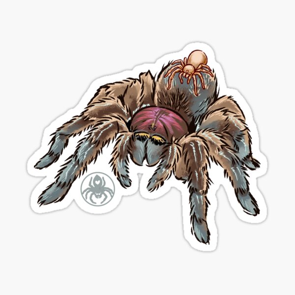 Vista previa del artículo con la obra «Ilustración de Spidey y Blinky», diseñado y vendido por tarantulaheaven.