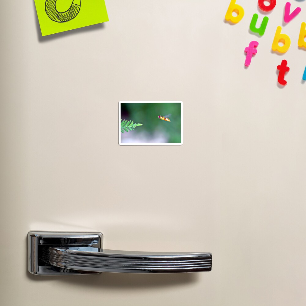 Item preview, Magnet designed and sold by DAWNESROMEO.