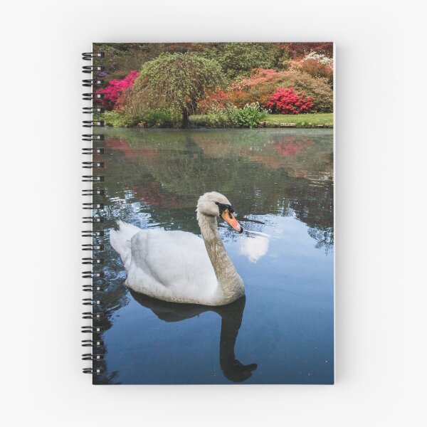 Item preview, Swan Lake designed and sold by heidipics.