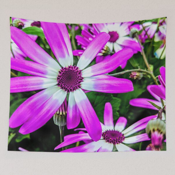 Item preview, Beautiful Asters designed and sold by AmberELamoreaux.