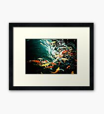 Fish in the pond. Framed Print