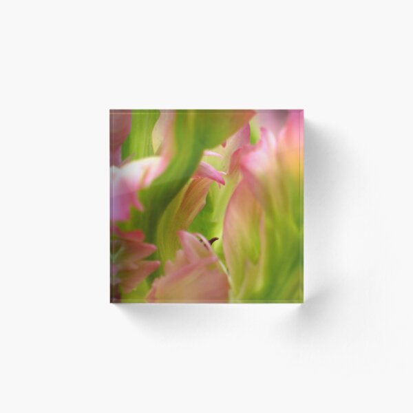 Green Wave - JUSTART © Acrylic Block