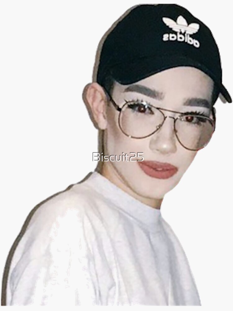 James Charles Flashback Mary Sticker for Sale by Biscuit25 Redbubble