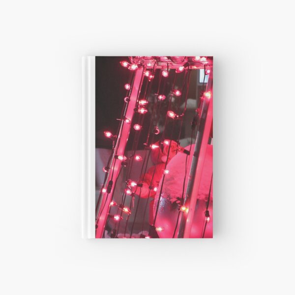 Bedazzlement of a Child Hardcover Journal