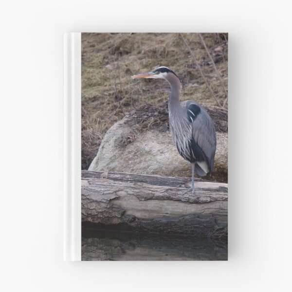 Aperçu de l'œuvre Great Blue Heron créée et vendue par JWallace.