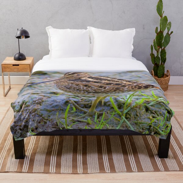 Bird Series: Wilson's Snipe Throw Blanket