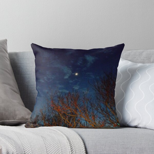 Item preview, "Early Evening Late Winter" designed and sold by Robert Regenold's Art Shop.