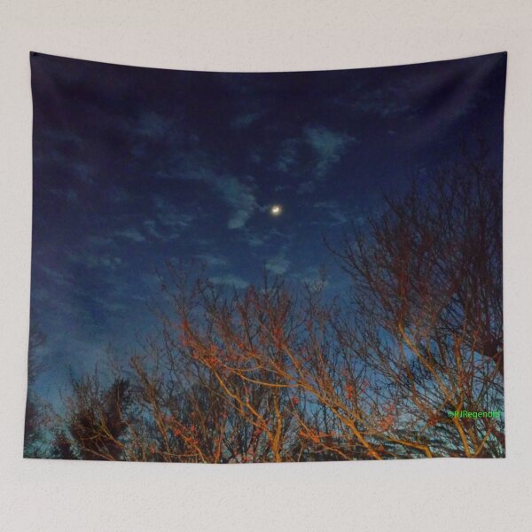 Item preview, "Early Evening Late Winter" designed and sold by Robert Regenold's Art Shop.