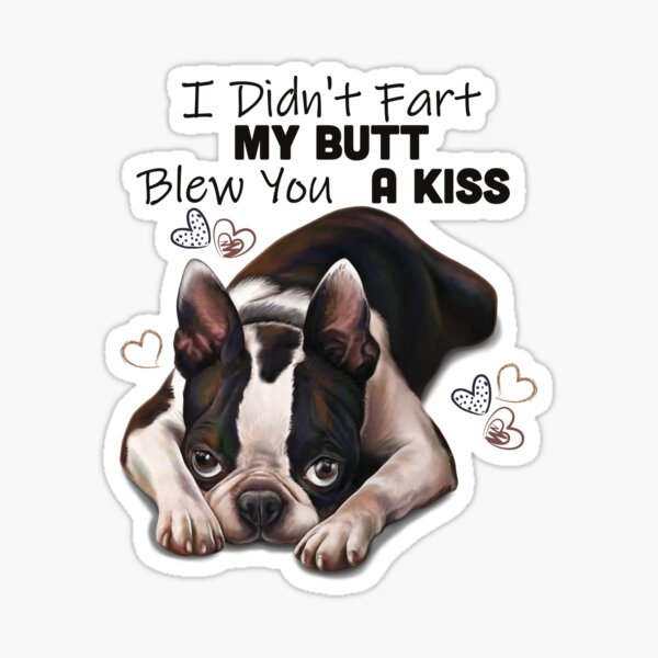 Boston Terrier Birthday Stickers Redbubble