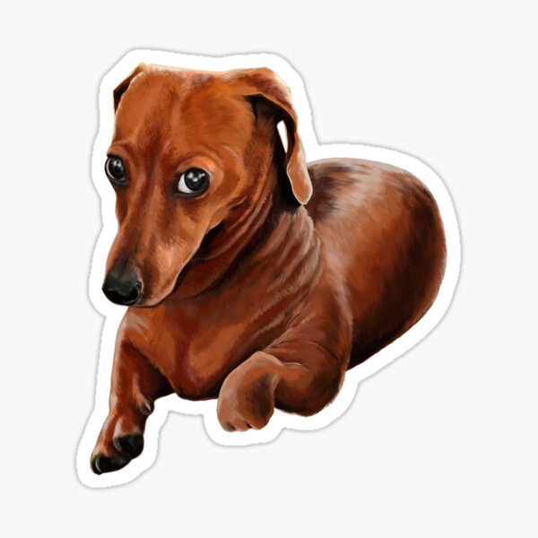 Item preview, Dachshund gifts, Wiener Dog, doxie puppy, dachshund dog, dachshund shirts designed and sold by rvyalkov.