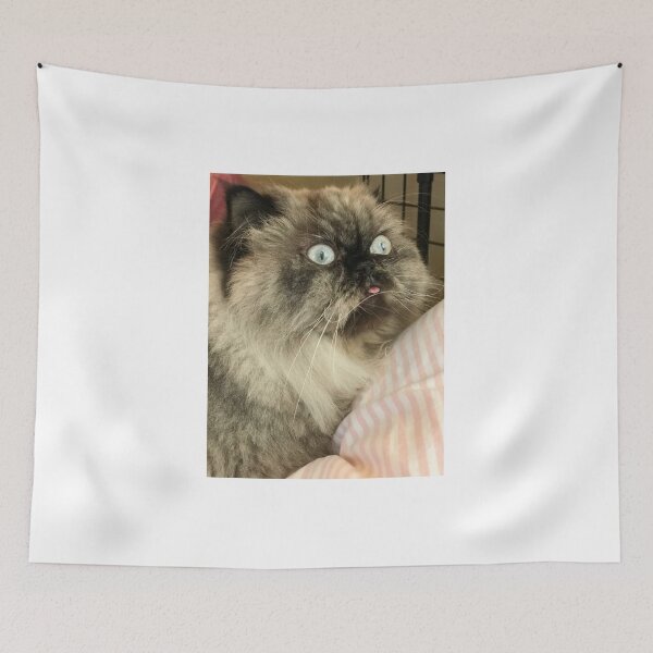 Item preview, Never go full derp designed and sold by super_shimizu.