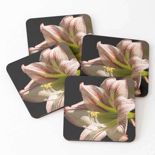 Item preview, Amaryllis in the dew designed and sold by Zina Stromberg.
