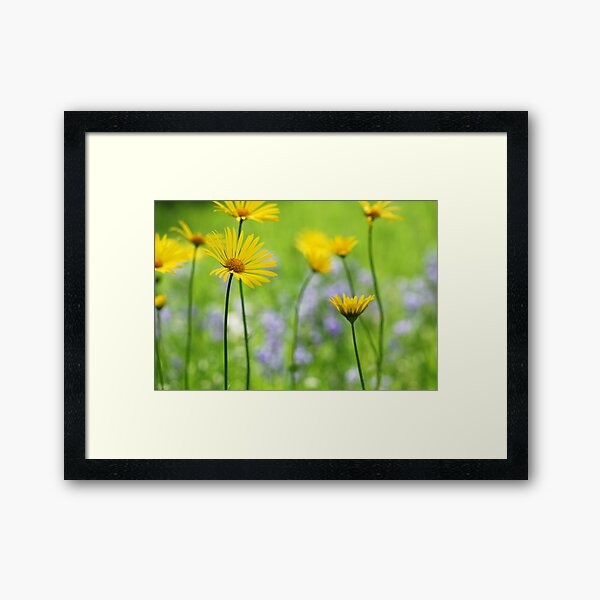 Spring in the Meadow Framed Art Print