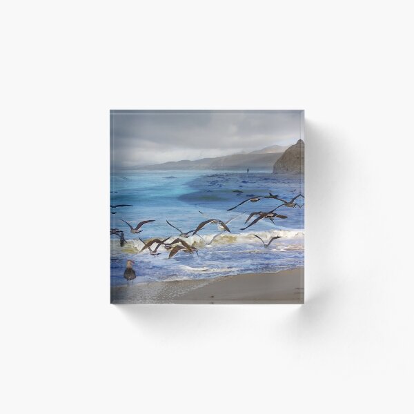 A Walk On The Beach Acrylic Block
