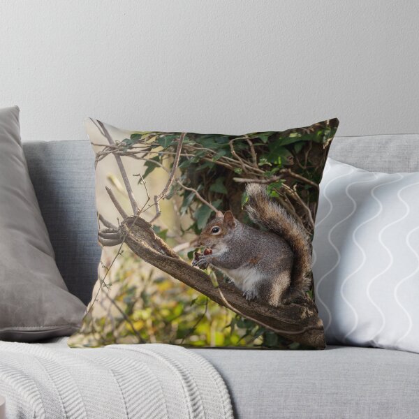 Item preview, Squirrel Nutkin designed and sold by heidipics.