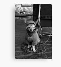 THE SIDEKICK Canvas Print