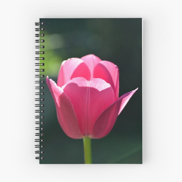 Item preview, Pink Tulip designed and sold by VallyDalPra.
