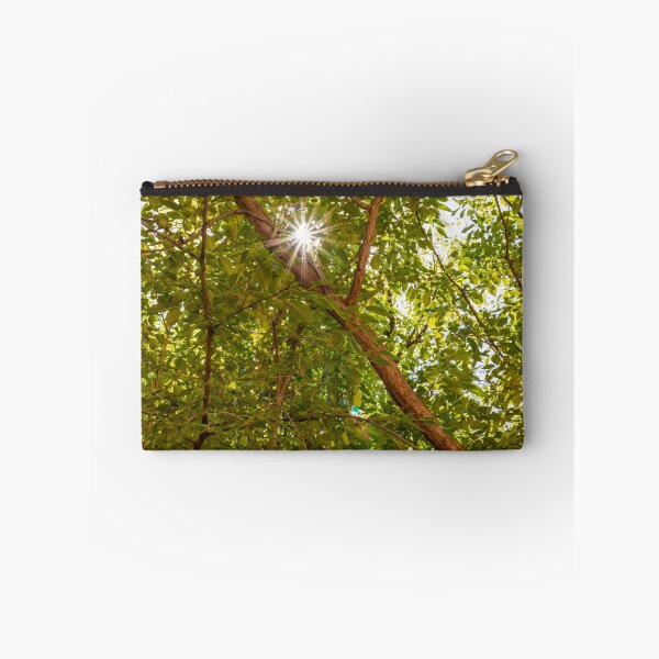 Item preview, Sunburst through Trees designed and sold by Karen Szatkowski.