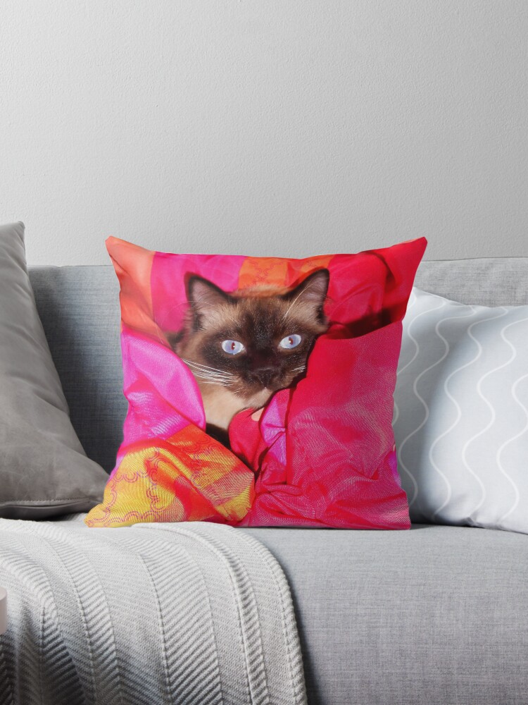 ragdoll cat pillow