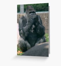 Contemplation Greeting Card