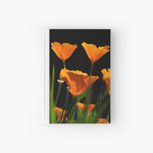 California Poppy 5 Hardcover Journal