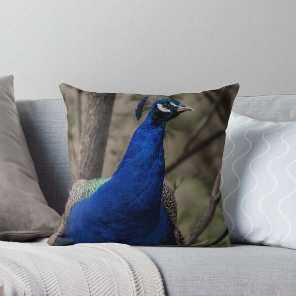 Item preview, Peacock designed and sold by emmelined.