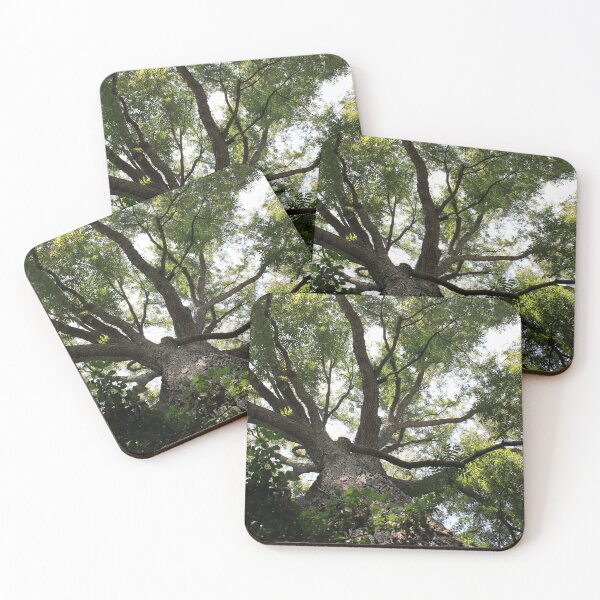 Item preview, Pecan canopy designed and sold by KM.