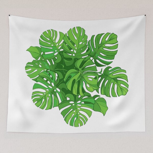 Item preview, Monstera or Swiss cheese plant. designed and sold by Bokasana.