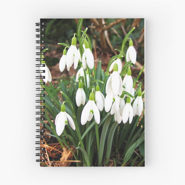 Item preview, Snowdrops in my Garden designed and sold by Betty Mackey.