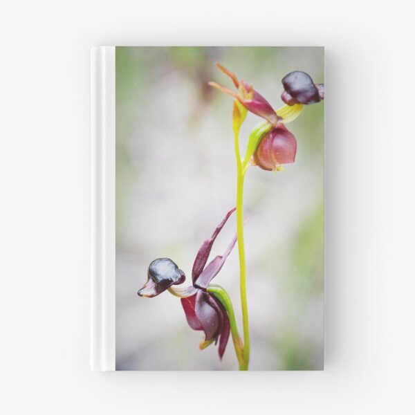 Item preview, Flying duck orchid - Caleana major designed and sold by Malcolm Garth.